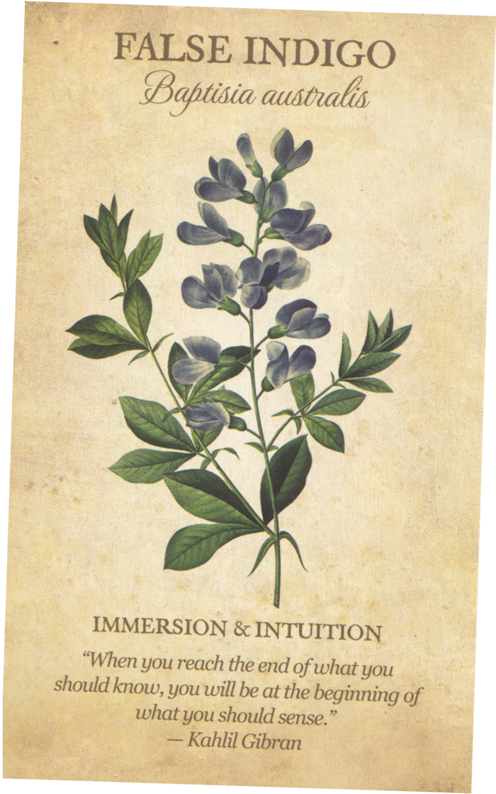 False Indigo card from the Botanical Inspirations Tarot Deck