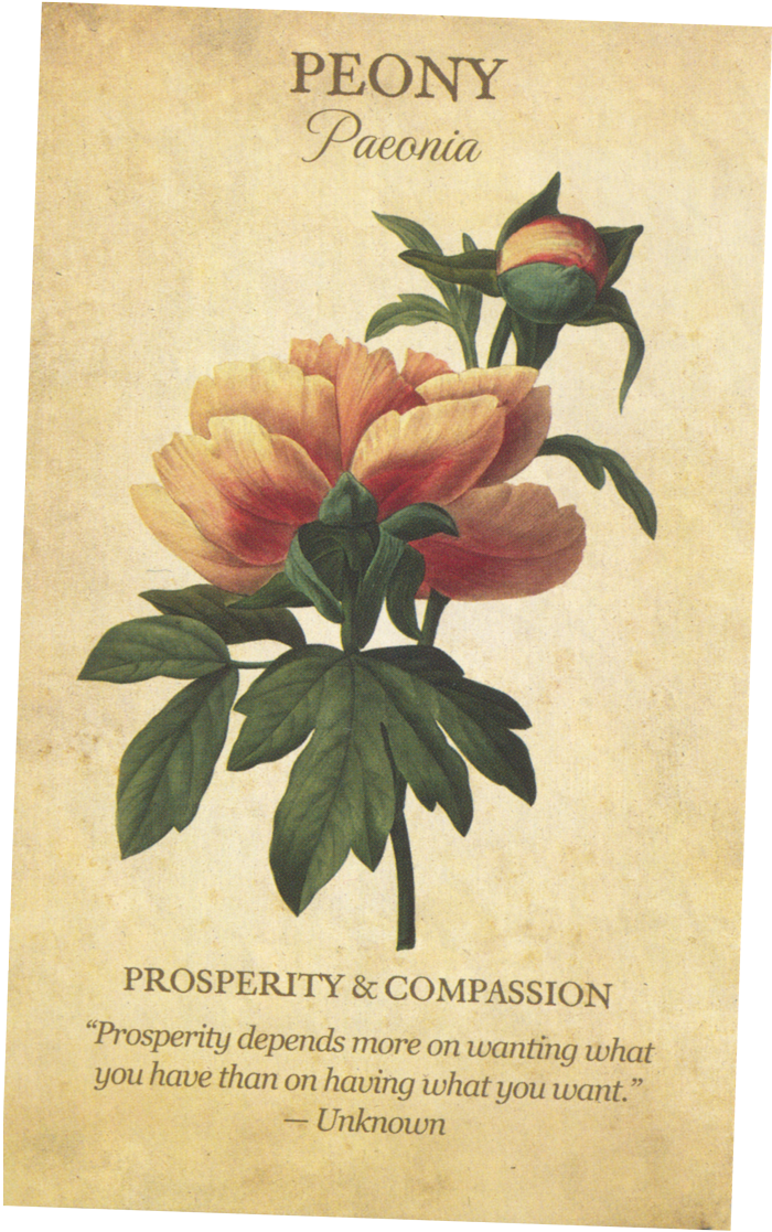 The Peony card from the Botanical Inspirations Tarot Deck